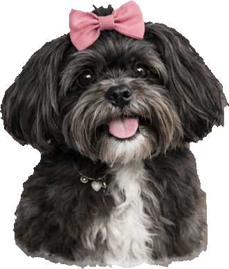 Dolores Jane, a.k.a. Sugar Britches